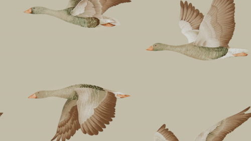 Elysian Geese 216609